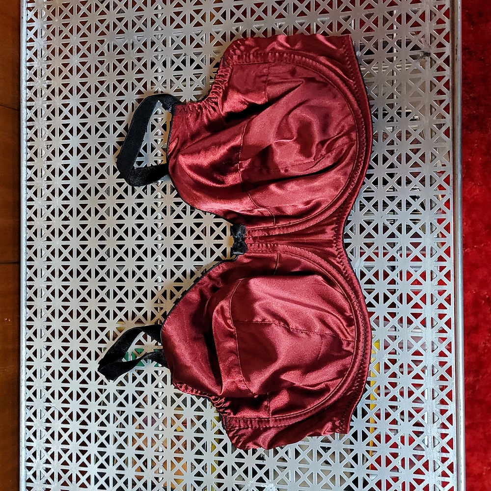 What Katie Did Bra in Burgundy